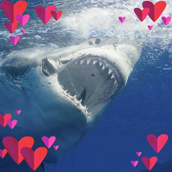 Profile Picture of Edward Boyett (@greg_jay1) on Poshmark