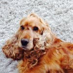 Profile Picture of Conor Mullins (@conor.mullins) on Instagram