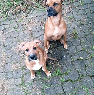 Profile Picture of Brandon Sprowls (@brandon.sprowls) on Facebook