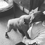 Profile Picture of Julius_mal Jonathan (@jul_josh) on Instagram