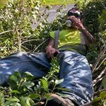 Profile Picture of James Lynde (@jameslynde) on Instagram