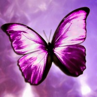 Profile Picture of Amanda Cato (@amanda-cato) on Quora