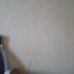 Profile Picture of Alex Basso (@alex.basso.756) on Facebook