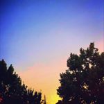 Reese Moore - Instagram Profile Picture of Reese Moore (@reese_moore07) on Instagram