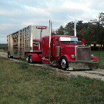 Mike Burks - Instagram Profile Picture of Mike Burks (@mike_burks) on Instagram