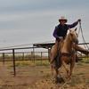 Profile Picture of Pate Calvert (@jsjhorsetraining) on Tiktok