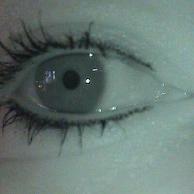 Profile Picture of Tracy Shea Knight (@huckleberrie) on Twitter