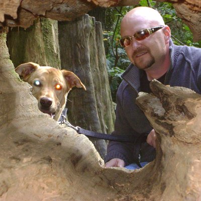 Profile Picture of Jon Pelletier (@JonPell123) on Twitter