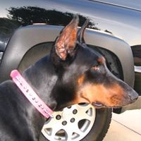 Profile Picture of Michael Krist (@michael-krist-2) on Quora