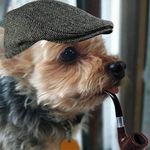 Profile Picture of Kevin McGinnis (@itswaltflanagan) on Instagram