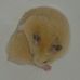Profile Picture of Buster Parrott (@buster.parrott.1) on Facebook