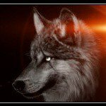 Profile Picture of killerminu (@kevin_fenske_der_echte) on Instagram