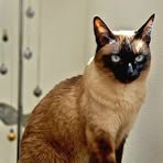 Profile Picture of Karin HabererUnger (@Karin-Haberer-Unger) on Facebook