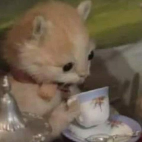 Profile Picture of Alejandra Moya (@alejandramoy553) on Poshmark