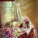Profile Picture of Teresa Sharp (@nursesharp6) on Pinterest