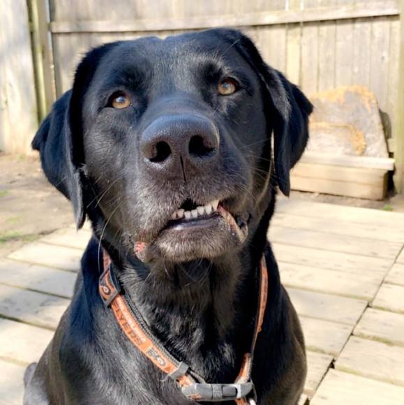 Profile Picture of Haley Servais (@haleyservais) on Poshmark