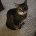 Profile Picture of Matthew Darby (@darby3094) on Pinterest