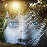 Profile Picture of Dawn Brown Photography NC (@a.new.dawn.17) on Instagram