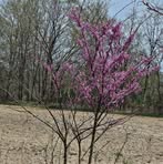 Profile Picture of Marsha Bryner (@mbrynerkelly) on Facebook