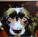 Profile Picture of William Darlow (@william.darlow) on Facebook
