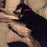 Gregory Stocks - Instagram Profile Picture of Gregory Stocks (@stocksgregory) on Instagram