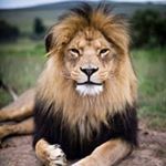 Profile Picture of Tina Meyer (@tina.meyer11) on Instagram