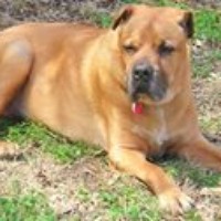 Profile Picture of Johnie Beth Matthews (@johnie-beth-matthews) on Quora