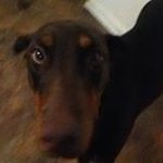 Profile Picture of Shawn Yardley (@tacotuesday115) on Instagram