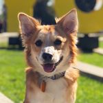 Profile Picture of Gus Williams (@lilgusbigworld) on Instagram