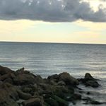 Profile Picture of Shannon Cangelosi (Angelo) (@shannon_angelo) on Instagram