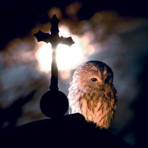 Profile Picture of Claudia Zander (@406499879) on Myspace