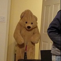 Profile Picture of Savannah Archer (@savannah-archer-6) on Quora