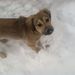 Profile Picture of Alyssa Giesemann (@alyssag09) on Pinterest