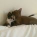 Profile Picture of Marion Harkness (@marion.harkness.5) on Facebook