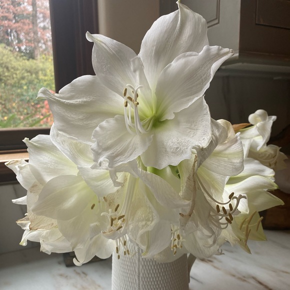 Profile Picture of Kelly Clay (@kel_bel_atl_80) on Poshmark