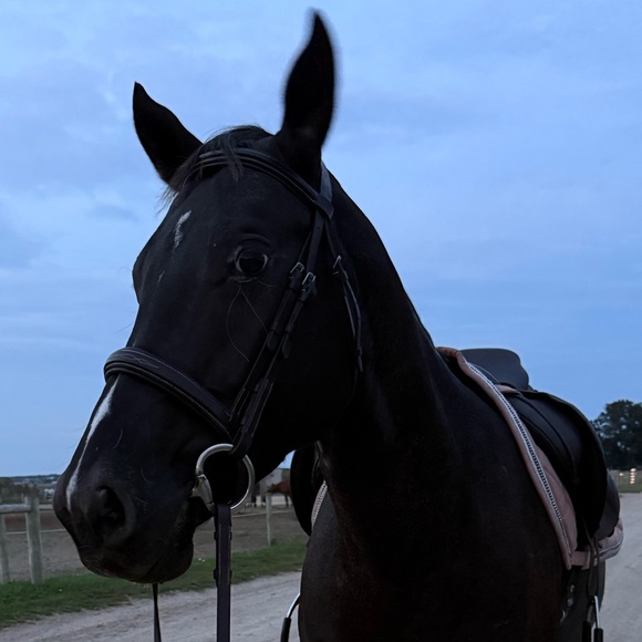 Profile Picture of Aly Skalsky (@aly_skalsky) on Poshmark