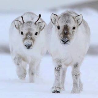 Profile Picture of BJ Lambrecht (@bj.lambrecht.9) on Facebook