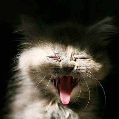 Brian Turnbow - Twitter Profile Picture of Brian Turnbow (@Sneakykorean) on Twitter