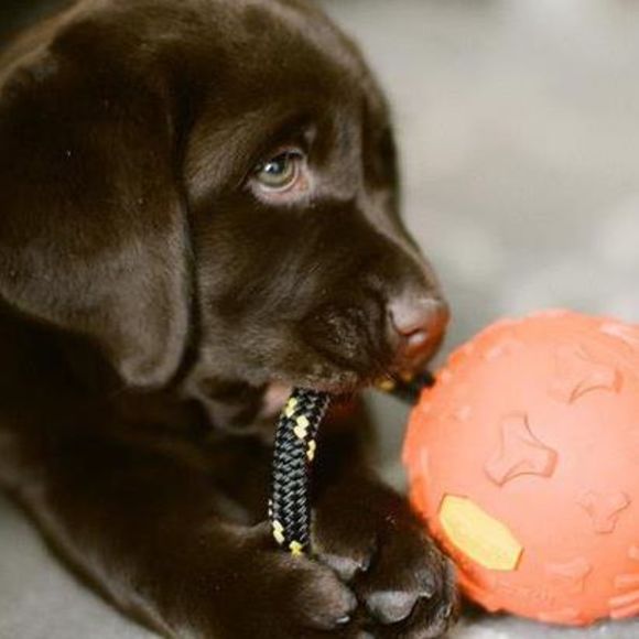 Profile Picture of Tito Taing (@titotaing) on Poshmark