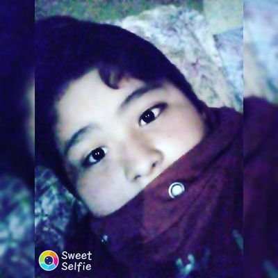 Profile Picture of Nicolas Arguello (@Nicolas94879040) on Twitter