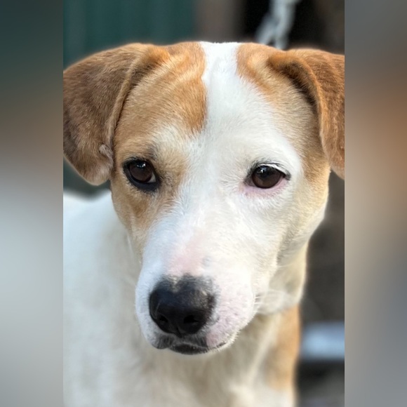 Profile Picture of Xtina Brecher (@xtinabrecher) on Poshmark