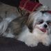 Profile Picture of Maureen Taaffe (@maureen.taaffe.5) on Facebook