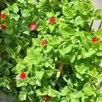 Profile Picture of Danielle Malone (@Danielle-Malone) on Facebook