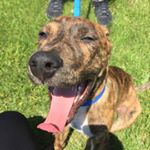 Profile Picture of Jordan Wadley (@jwadd80) on Instagram