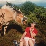 Profile Picture of Margaret MacDougall (@margtgmacdougall) on Instagram