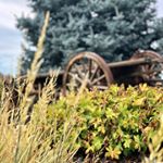 William Lodge - Instagram Profile Picture of William Lodge (@williamlodgephotography) on Instagram