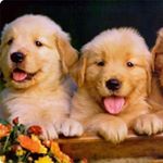 Profile Picture of 하이헬롱 (@io0o__________o0oi) on Instagram