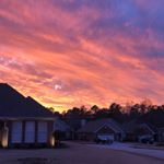 Profile Picture of GTMturf&landscape (@gary_terrell2) on Instagram