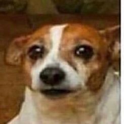 Profile Picture of Dylan Escobar (@Dylan36950783) on Twitter