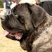 Profile Picture of Luigi Scotti (@luigi.scotti.773) on Facebook